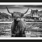 Back to School-Photographic Print-David Yarrow-Sorrel Sky Gallery