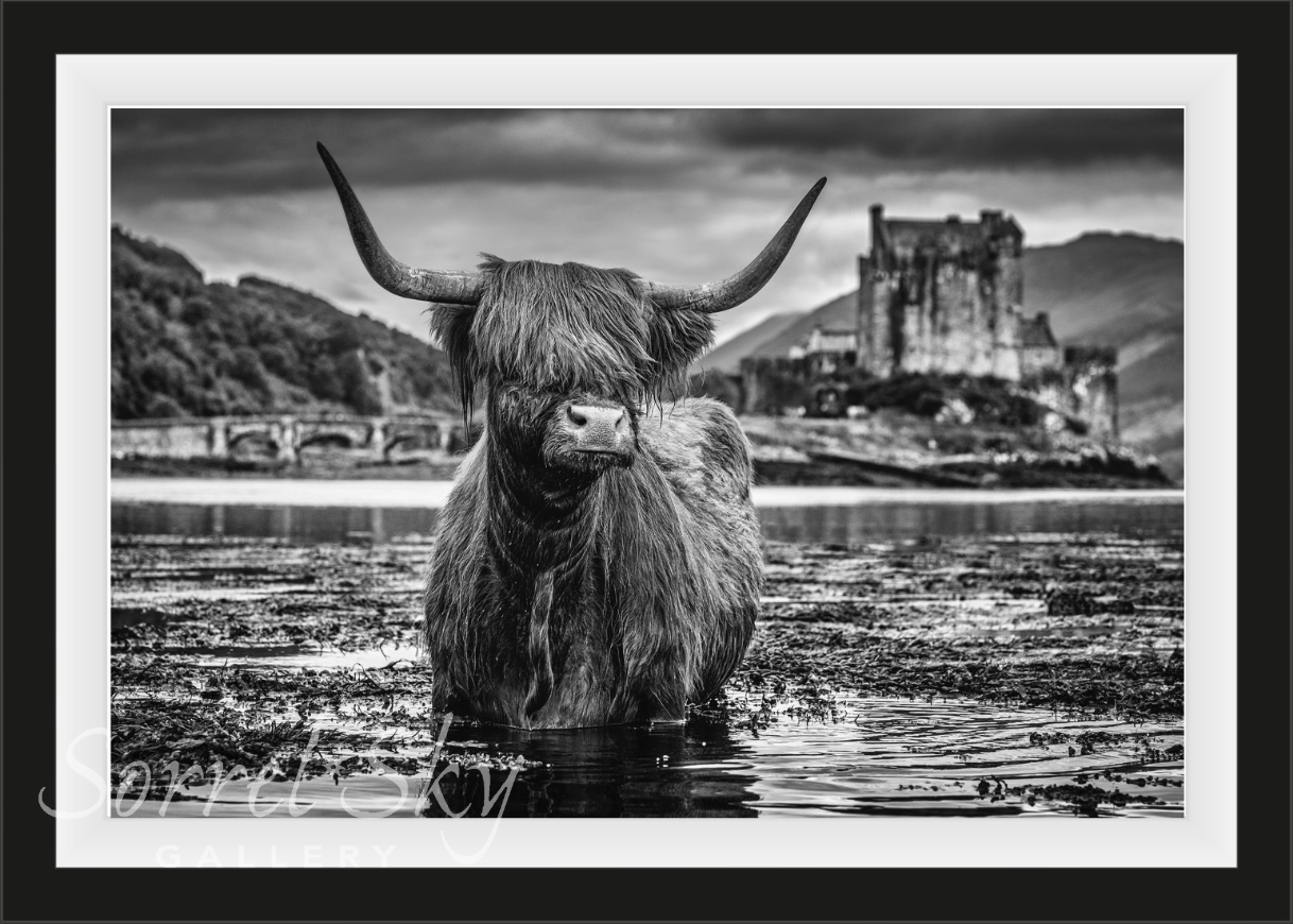 Back to School-Photographic Print-David Yarrow-Sorrel Sky Gallery