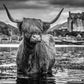 Back to School-Photographic Print-David Yarrow-Sorrel Sky Gallery