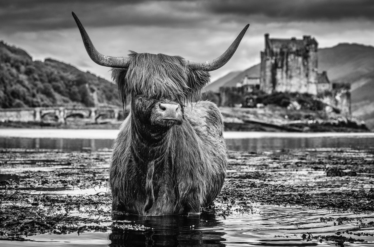 Back to School-Photographic Print-David Yarrow-Sorrel Sky Gallery