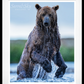 Backcountry - Colour-Photographic Print-David Yarrow-Sorrel Sky Gallery