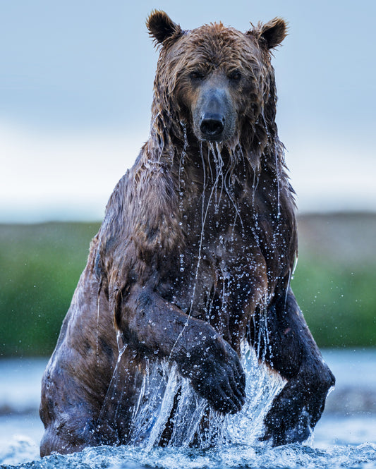 Backcountry - Colour-Photographic Print-David Yarrow-Sorrel Sky Gallery