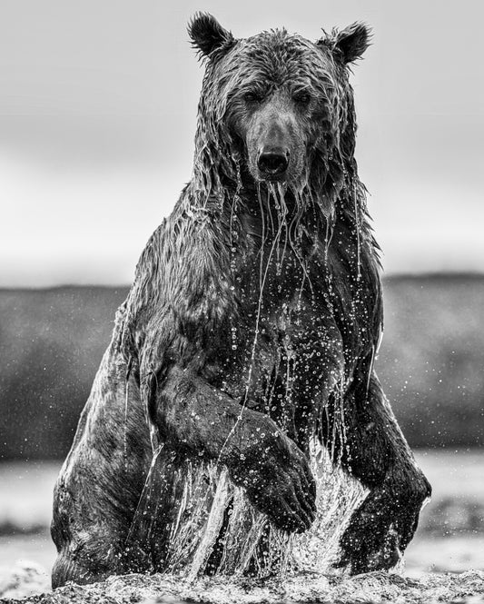 Backcountry-Photographic Print-David Yarrow-Sorrel Sky Gallery