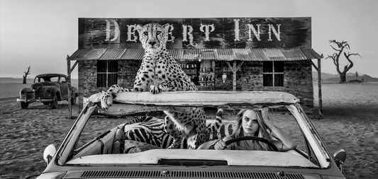 Bad Asses - B/W-Photographic Print-David Yarrow-Sorrel Sky Gallery