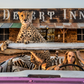 Bad Asses - Color-Photographic Print-David Yarrow-Sorrel Sky Gallery