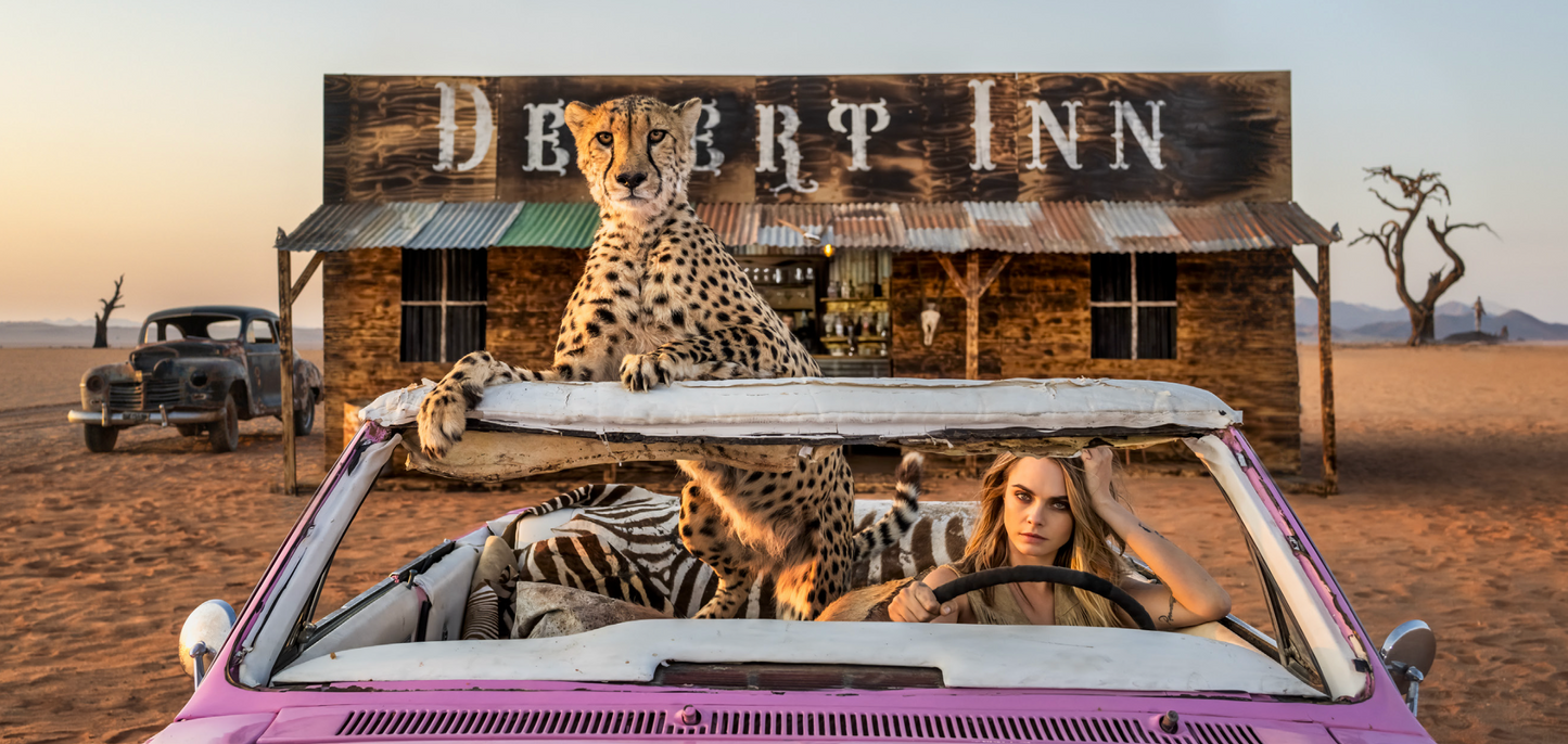 Bad Asses - Color-Photographic Print-David Yarrow-Sorrel Sky Gallery