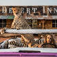 Bad Asses II - Colour-Photographic Print-David Yarrow-Sorrel Sky Gallery