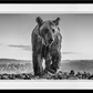 Bear Island
