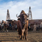 Bison Oil and Gas (Colour)-Photographic Print-David Yarrow-Sorrel Sky Gallery