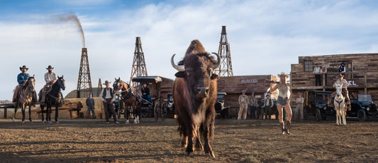 Bison Oil and Gas (Colour)-Photographic Print-David Yarrow-Sorrel Sky Gallery