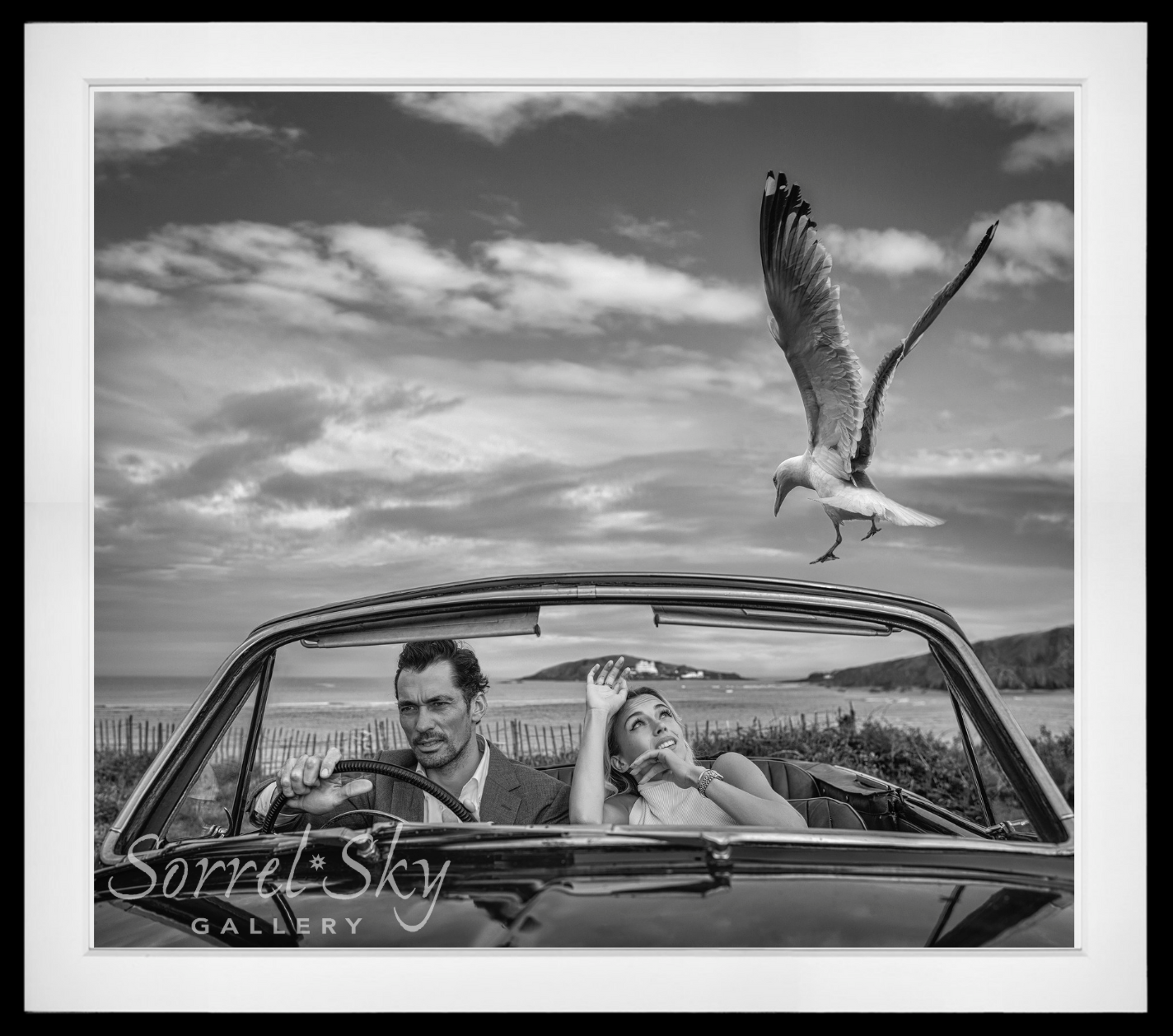 Bodega Bay-Photographic Print-David Yarrow-Sorrel Sky Gallery