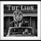 CAT ON A HOT TIN ROOF (B&W)-Photographic Print-David Yarrow-Sorrel Sky Gallery