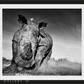 CHARGE-Photographic Print-David Yarrow-Sorrel Sky Gallery