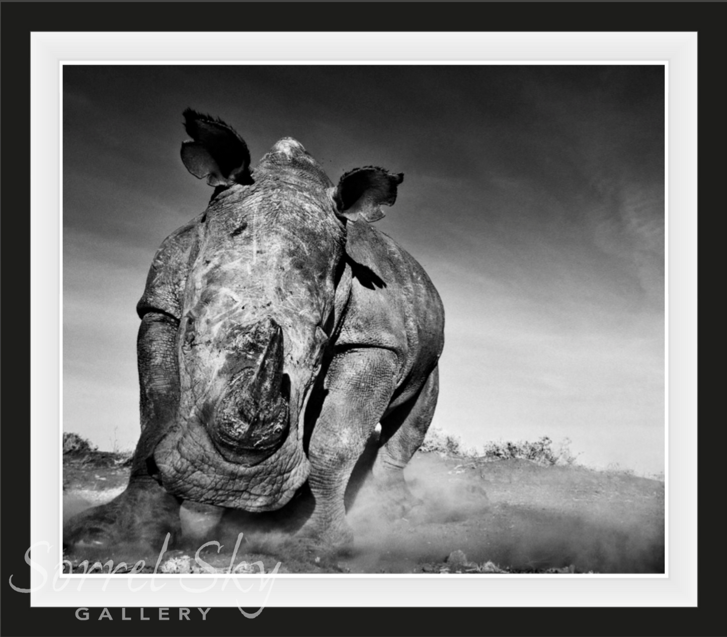 CHARGE-Photographic Print-David Yarrow-Sorrel Sky Gallery