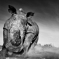 CHARGE-Photographic Print-David Yarrow-Sorrel Sky Gallery