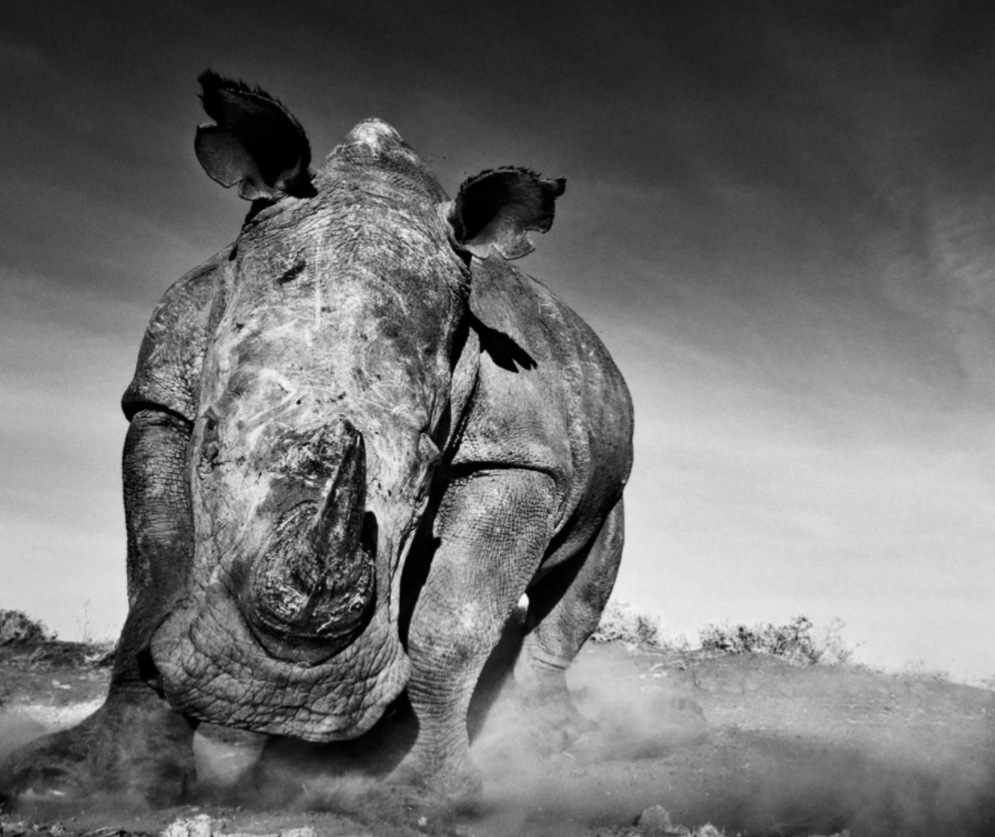 CHARGE-Photographic Print-David Yarrow-Sorrel Sky Gallery