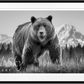COCAINE BEAR-Photographic Print-David Yarrow-Sorrel Sky Gallery