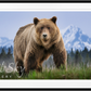 COCAINE BEAR (Colour)-Photographic Print-David Yarrow-Sorrel Sky Gallery