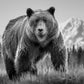 COCAINE BEAR-Photographic Print-David Yarrow-Sorrel Sky Gallery