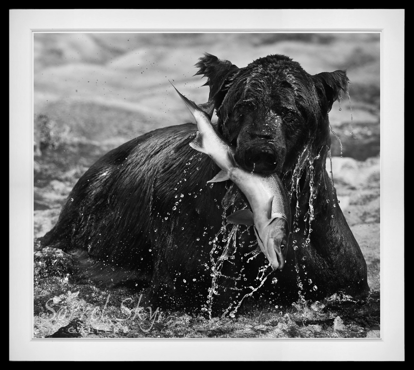 Catch-Photographic Print-David Yarrow-Sorrel Sky Gallery