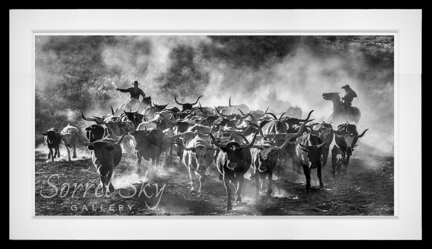 Cattle Drive-Photographic Print-David Yarrow-Sorrel Sky Gallery