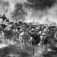 Cattle Drive-Photographic Print-David Yarrow-Sorrel Sky Gallery