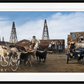 Cattle and Oil (Colour)-Photographic Print-David Yarrow-Sorrel Sky Gallery