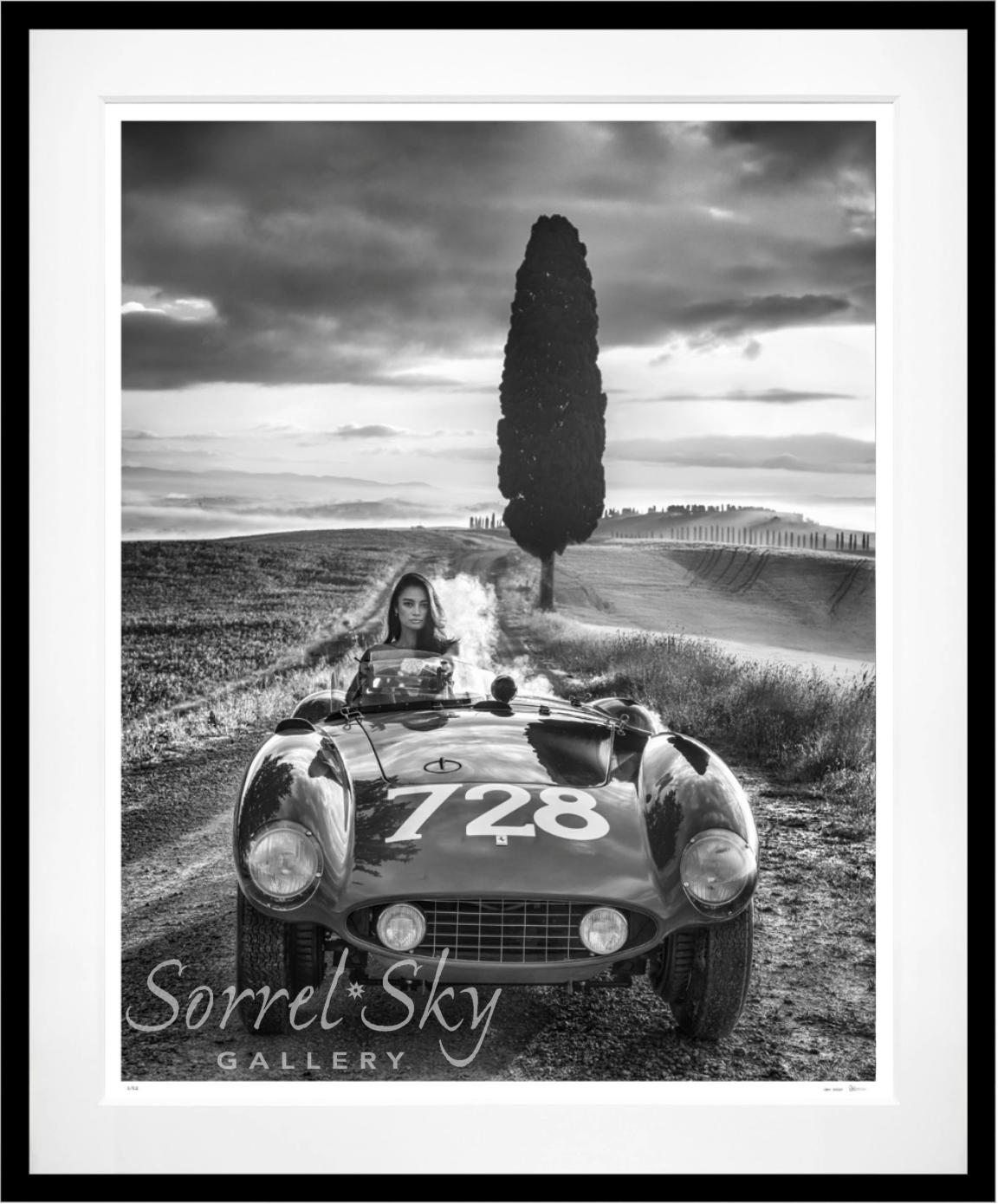 Cypress Point-Photographic Print-David Yarrow-Sorrel Sky Gallery