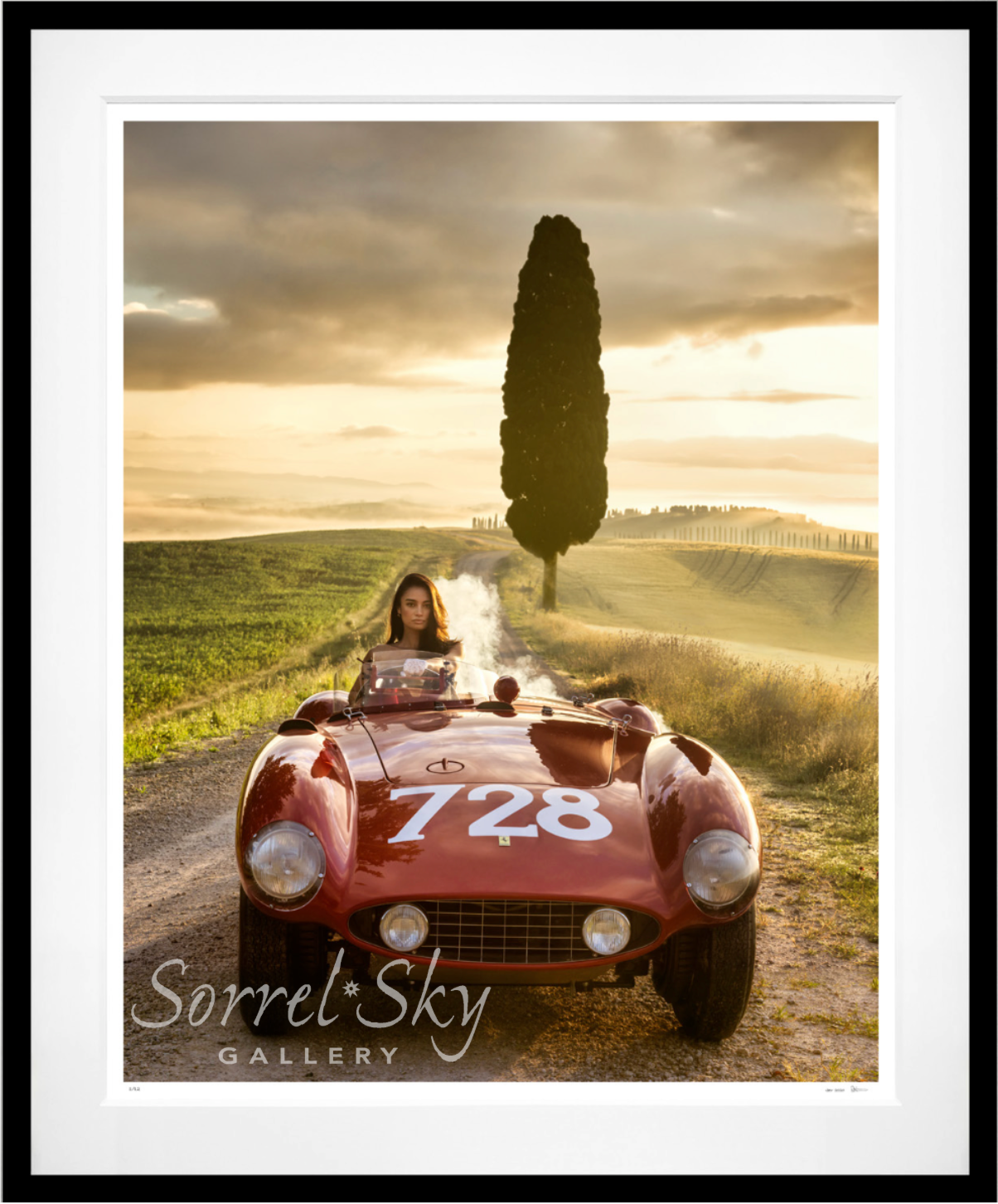 Cypress Point (Colour)-Photographic Print-David Yarrow-Sorrel Sky Gallery