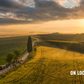 Cypress Point (Colour)-Photographic Print-David Yarrow-Sorrel Sky Gallery