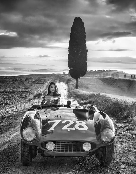Cypress Point-Photographic Print-David Yarrow-Sorrel Sky Gallery