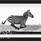 DESERT FLIGHT-Photographic Print-David Yarrow-Sorrel Sky Gallery