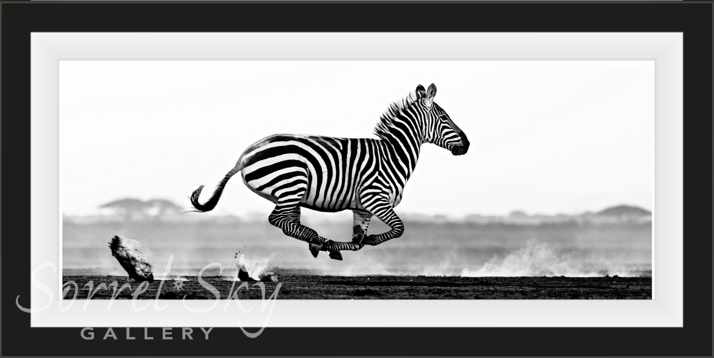 DESERT FLIGHT-Photographic Print-David Yarrow-Sorrel Sky Gallery