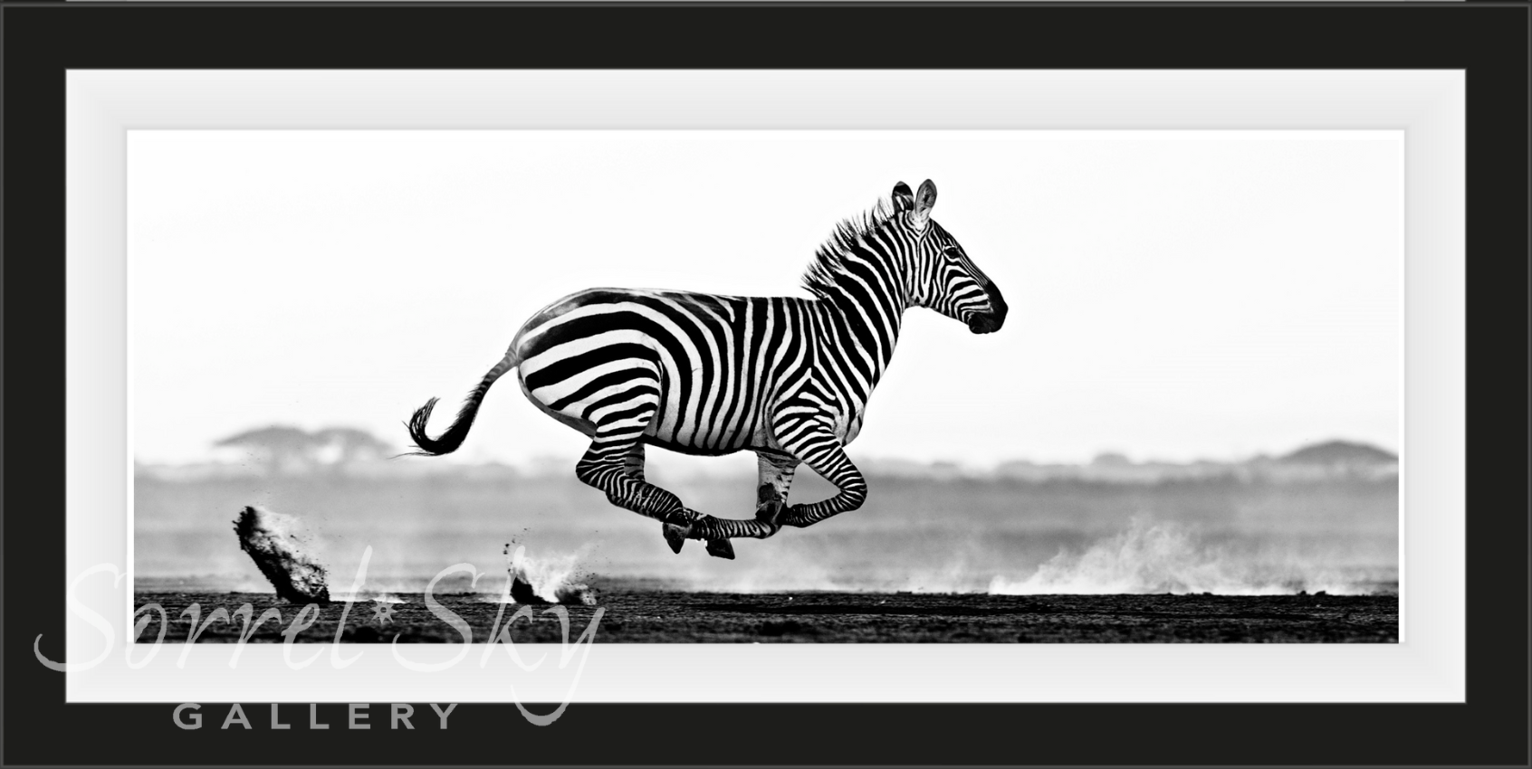 DESERT FLIGHT-Photographic Print-David Yarrow-Sorrel Sky Gallery