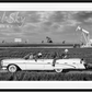 DRILL, BABY, DRILL-Photographic Print-David Yarrow-Sorrel Sky Gallery