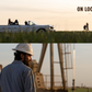 DRILL, BABY, DRILL-Photographic Print-David Yarrow-Sorrel Sky Gallery