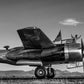 Don't Mess with Texas-Photographic Print-David Yarrow-Sorrel Sky Gallery