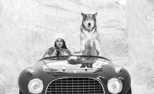 Driving Home for Christmas-Photographic Print-David Yarrow-Sorrel Sky Gallery