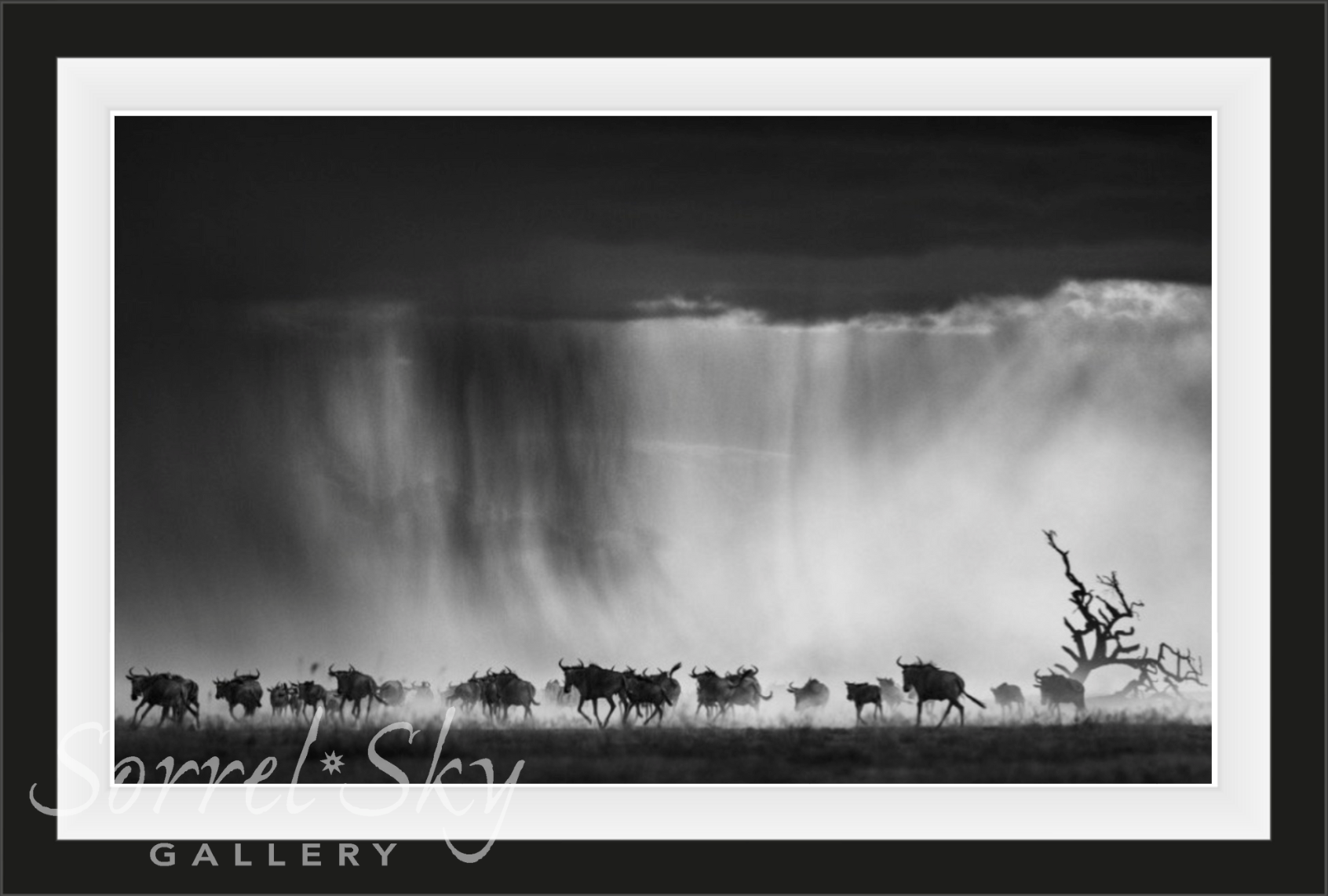 EXODUS-Photographic Print-David Yarrow-Sorrel Sky Gallery