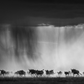 EXODUS-Photographic Print-David Yarrow-Sorrel Sky Gallery