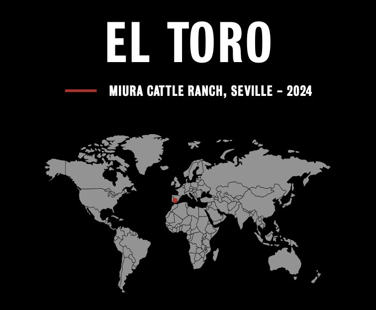 El Toro-Photographic Print-David Yarrow-Sorrel Sky Gallery
