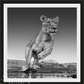 Emma-Photographic Print-David Yarrow-Sorrel Sky Gallery