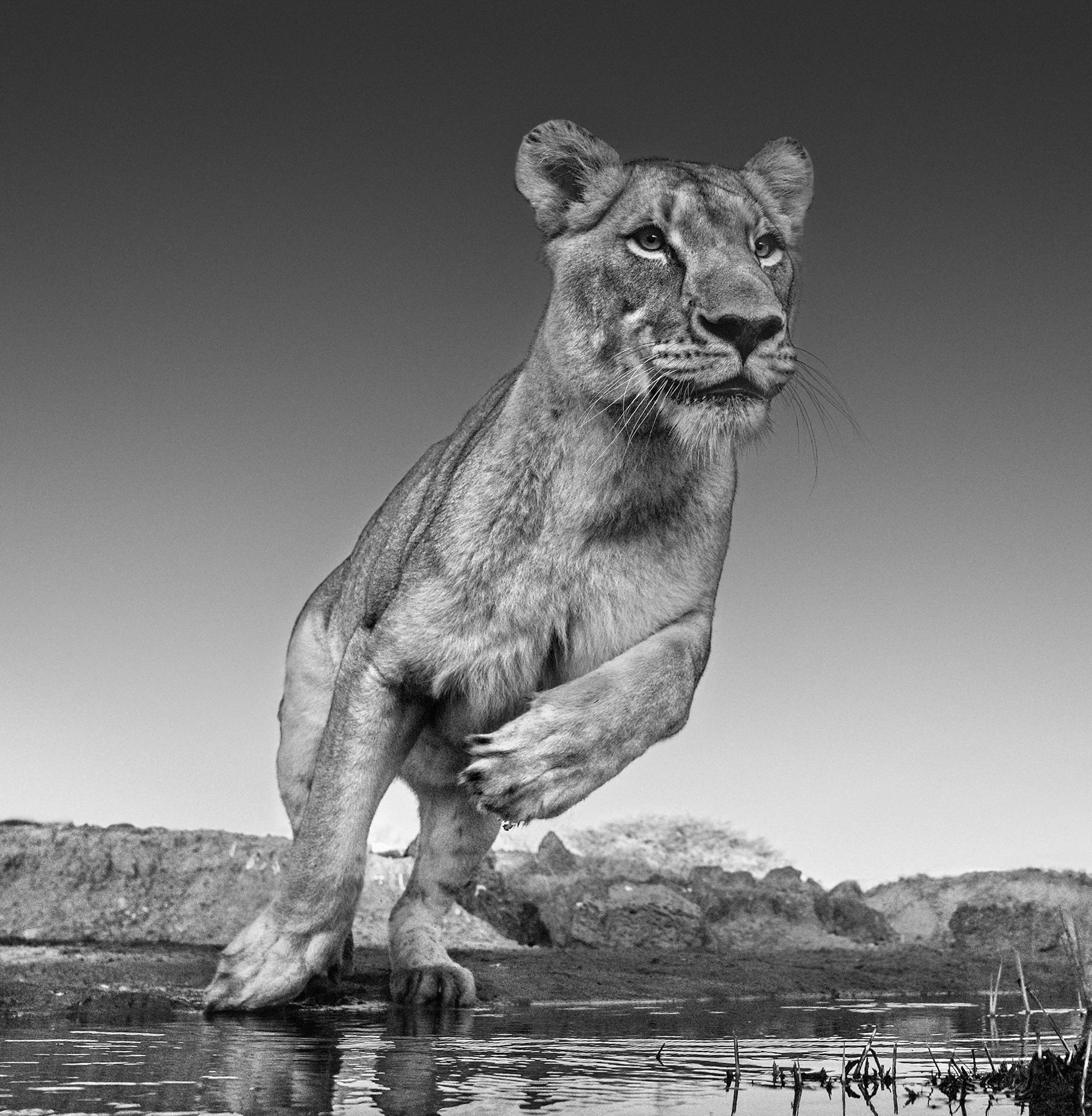 Emma-Photographic Print-David Yarrow-Sorrel Sky Gallery