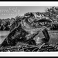 FLORIDA-Photographic Print-David Yarrow-Sorrel Sky Gallery