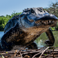 FLORIDA (Colour)-Photographic Print-David Yarrow-Sorrel Sky Gallery