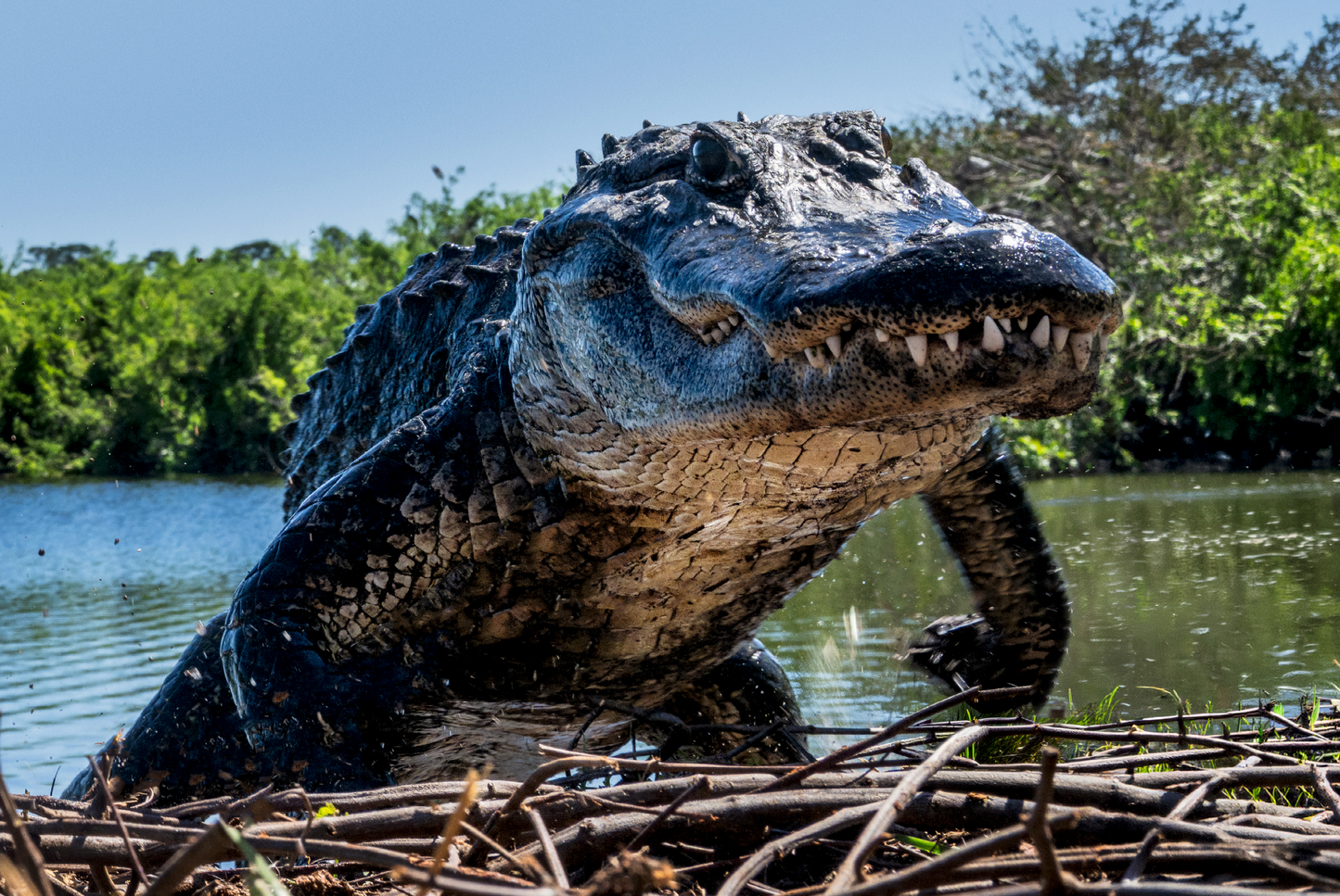 FLORIDA (Colour)-Photographic Print-David Yarrow-Sorrel Sky Gallery