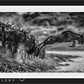 FOLLOW THE LEADER-Photographic Print-David Yarrow-Sorrel Sky Gallery