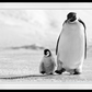 Father and Son-Photographic Print-David Yarrow-Sorrel Sky Gallery