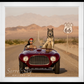 Ferrari II - Colour