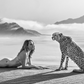 For Your Eyes Only - B/W-Photographic Print-David Yarrow-Sorrel Sky Gallery